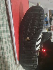 Adidas terrex