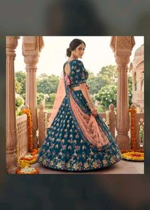Rama lehenga with multi  emrodary