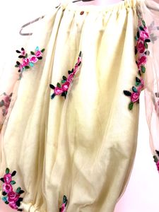 Embroidered Off-Shoulder Sheer Top