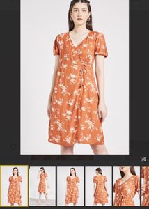 Brown Dress