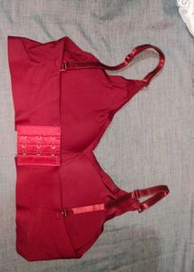 Maroon Colour Bra