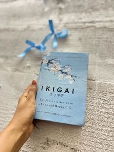 Novel