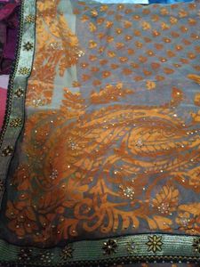 Elegant Indian Saree with Golden Embellishments