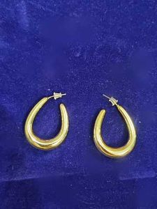 Golden Hoop Earrings
