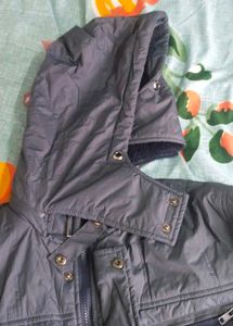 Men's Gray Padded Jacket