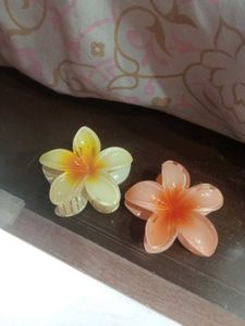 Flower Hair Clips - Set of 2