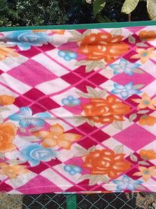 Singal One Cambhal Rose Colour