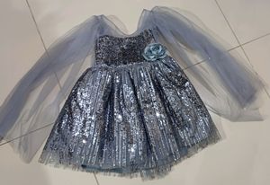 Shimmery Grey Party Wear Dress