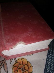 Navneet english mini dictionary