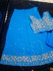 Stunning Embroidered Lehenga Choli