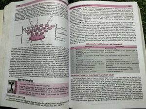 Dinesh Companion Biology Class XI Vol. II