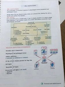 Pathology Module by Johari MBBS colour printnout