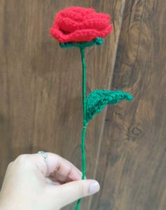 Handmade Crochet multi Roses 💐