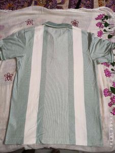 “Premium Sage Green Colour-Block Polo T-shirts