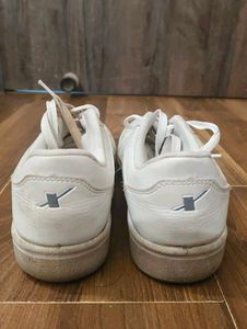 Sparx Men's Mesh White Sneakers