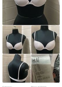 Elegant Lace Bra