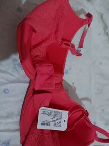 Pritty Bra New With Tag Brand Amante Br