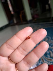 beautiful orange color nosepin  gold