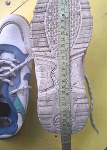 Casual White &amp; Blue Sneakers