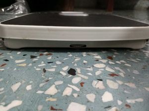 CAMRY Analog Weighing Scale