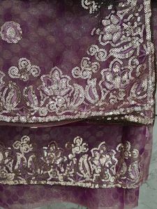 Shimmer Saree With Silver Tikki ( Sequence)
