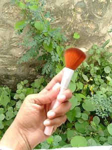 Makeup Brush