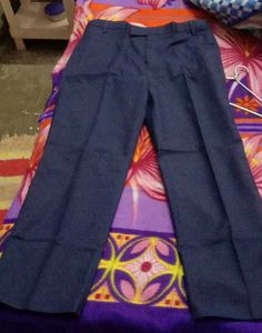Formal Blue Pant For Men's