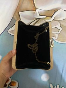 Elegant Beige Clutch Bag