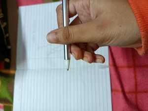 Fur Ball Pen