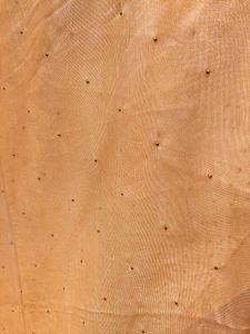 PRICE DROP - Golden Saree with Embellishments