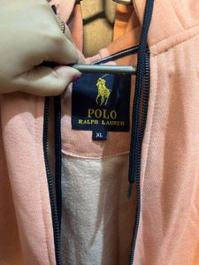 Polo Bear Hoodie