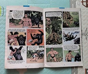 Edgar Rice Burroughs Tarzan Comic Book