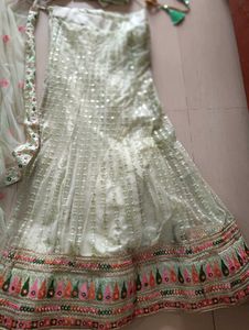 Elegant Pastel Lehenga Choli