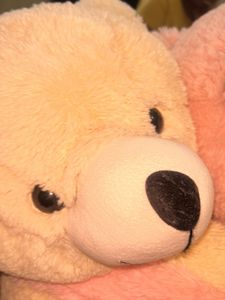 Hugging Teddy 🧸