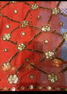 Elegant Orange Sequined Saree