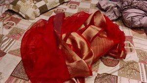 New Vibrant Red Saree with Gold Border