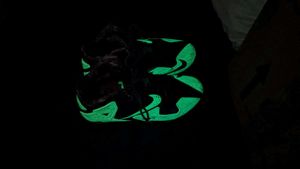Nike Lebron Sneakers