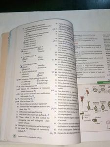 12th Std Botany Book