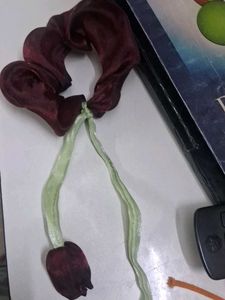 Scrunchie