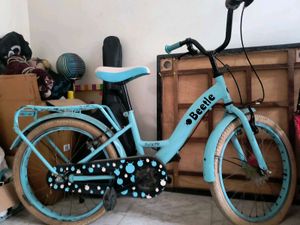 Beetle Kids Bicycle