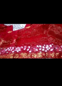 Exquisite Red &amp; Gold Silk Saree