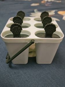 Popsicle Ice Cream Tray Of Plastic
