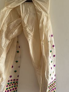 Embroidered Salwar Pants