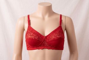 Red Lace Bra