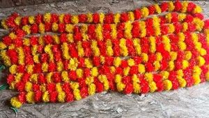 Decorative Pooja