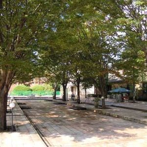 Nikon Coolpix Digital Camera