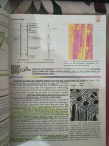 Science for Tenth Class Biology Part - 3