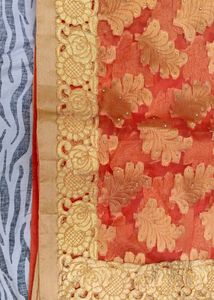 fancy Organza saree