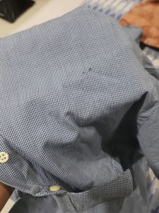 (Aigner ) BRANDED Men's Formal