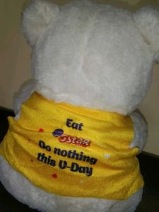 White Teddy bear